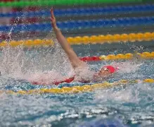 三亿体育体育app下载-意大利女子游泳运动员高领金牌，勇夺一哥